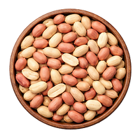 Verkadalai
