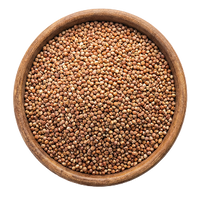 Varagu
