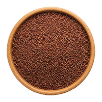Ragi