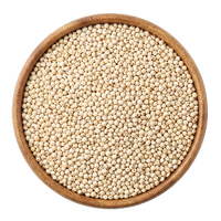 Cholam